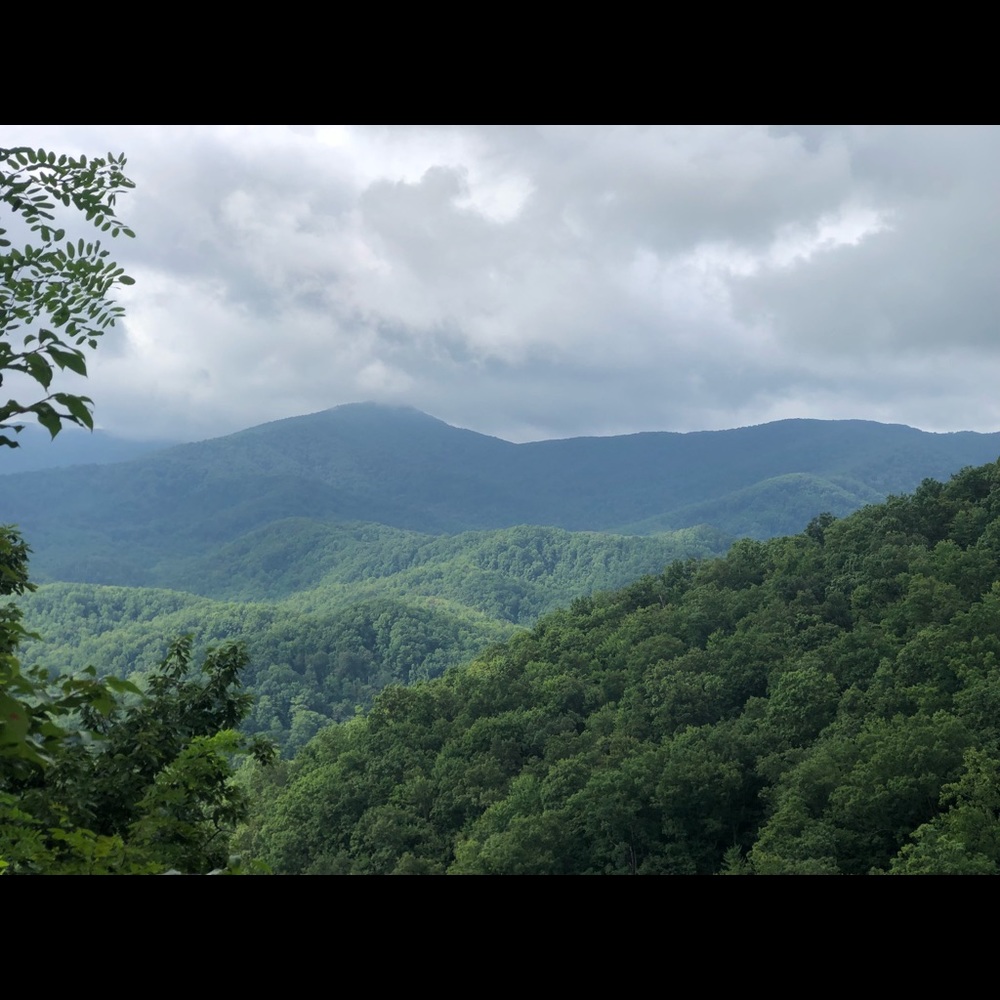 Meet your Posher, Mitchell